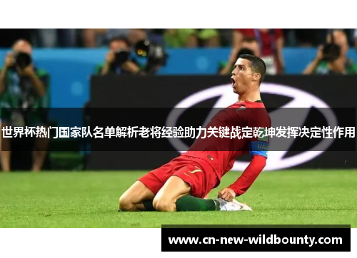 世界杯热门国家队名单解析老将经验助力关键战定乾坤发挥决定性作用