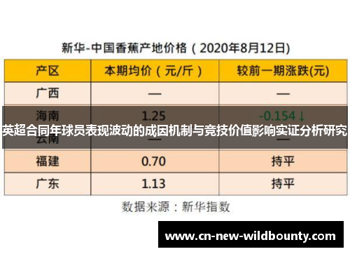 英超合同年球员表现波动的成因机制与竞技价值影响实证分析研究