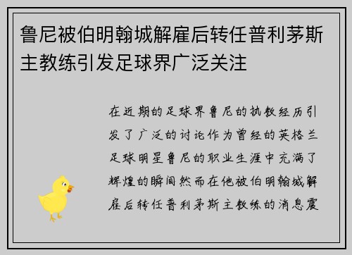 鲁尼被伯明翰城解雇后转任普利茅斯主教练引发足球界广泛关注 鲁尼被伯明翰城解雇后转任普利茅斯主教练引发足球界广泛关注