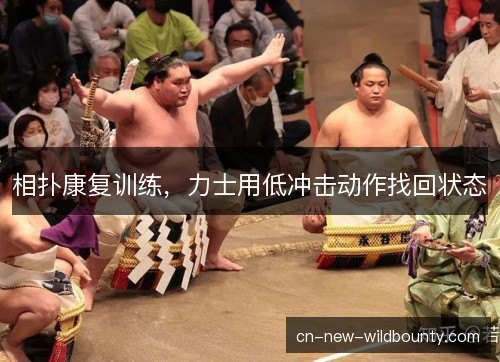 相扑康复训练，力士用低冲击动作找回状态